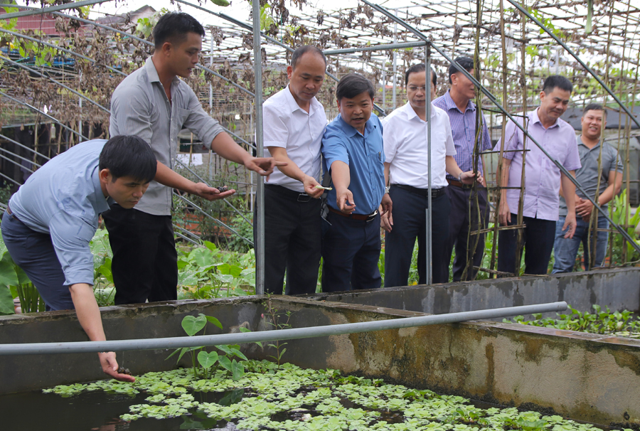 Tổ chức Hội – động lực thúc đẩy kinh tế tập thể nông nghiệp phát triển bền vững