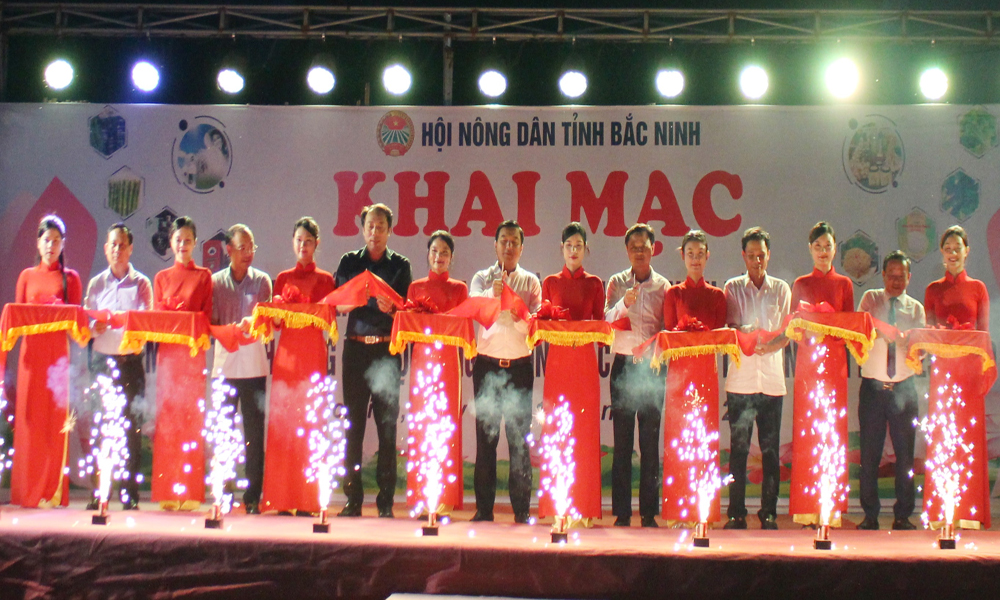 Khai mạc  