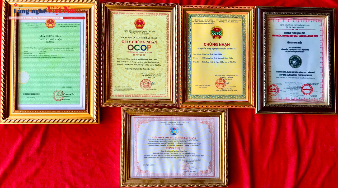 Măng Lục trúc – “mỏ vàng xanh” đánh thức vùng trung du Bắc Ninh