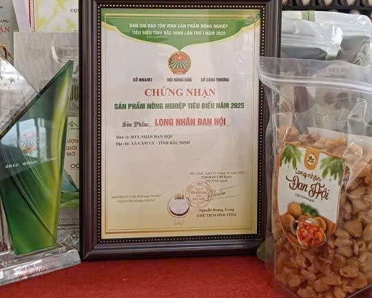 Sức sống từ đổi mới: [Bài 3] Từ 'làm nghề' để sang 'làm thương hiệu'