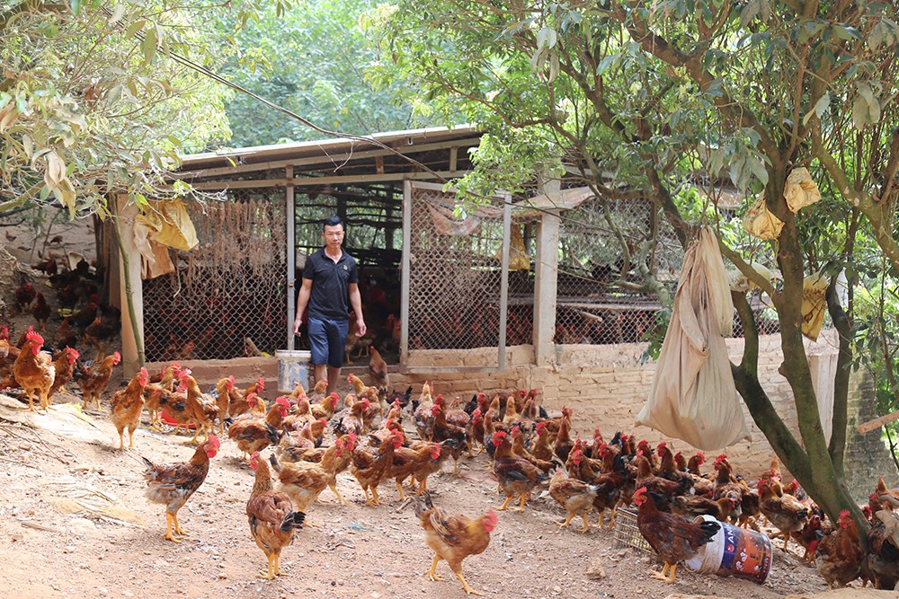 Đại Sơn – Khi người nông dân chủ động đổi mới để xây dựng nền nông nghiệp sinh thái bền vững