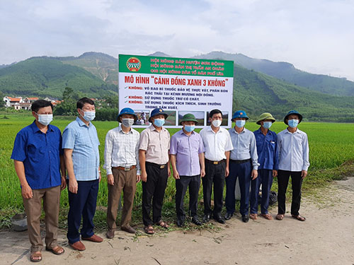 Sơn Động ra mắt 02 mô hình “Cánh đồng xanh 3 không”