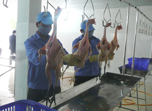 Hiệu quả từ đầu tư khoa học và công nghệ