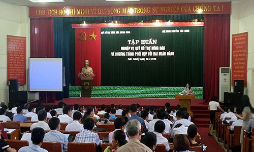 Tập huấn Qũy Hỗ trợ nông dân cho 240 học viên
