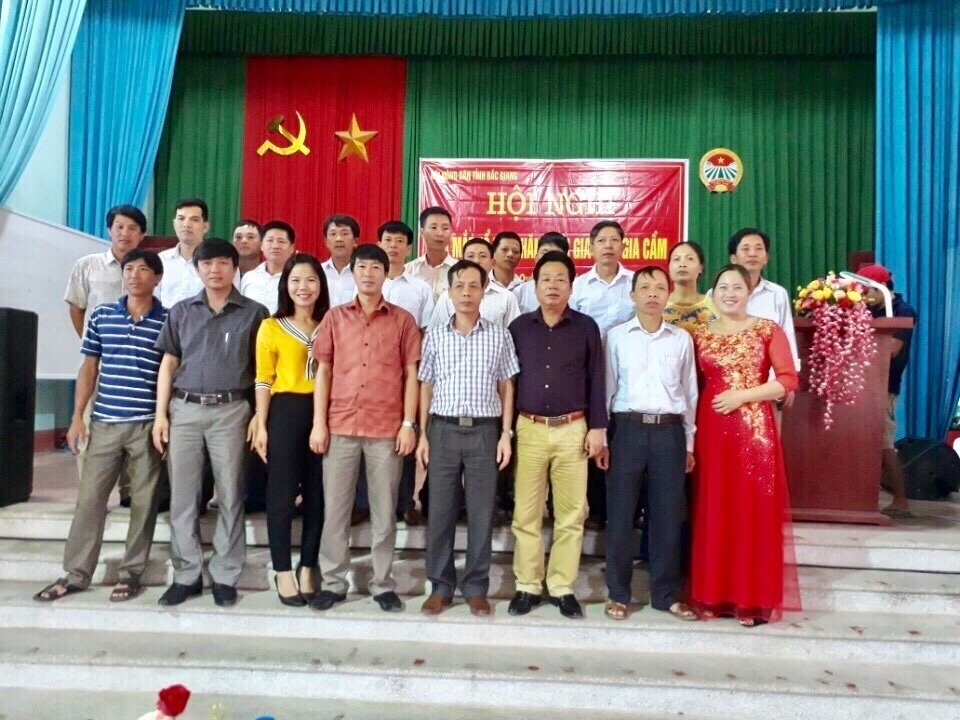 Ra mắt tổ hội nghề nghiệp chăn nuôi gia súc, gia cầm tại xã Quỳnh Sơn- Yên Dũng