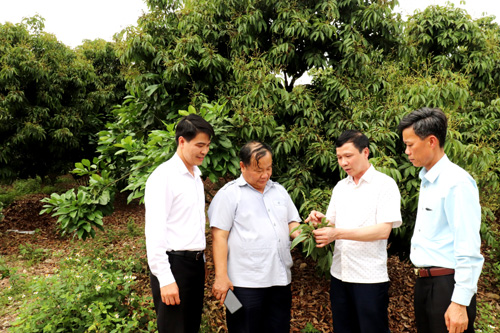 Xây dựng giai cấp nông dân và Hội Nông dân Bắc Giang vững mạnh, góp phần phát triển nông nghiệp thịnh vượng, nông dân giàu có, nông thôn văn minh, hiện đại