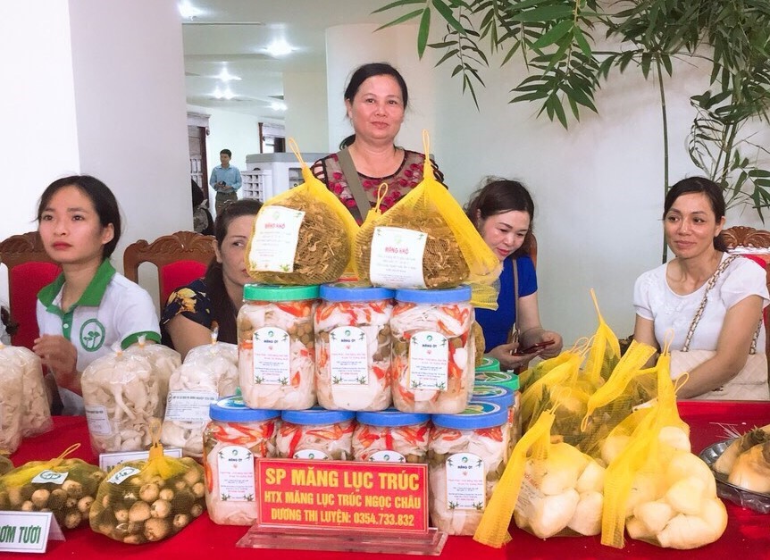 TỪ MỘT HỘI VIÊN NÔNG DÂN TRỞ THÀNH GIÁM ĐỐC HTX