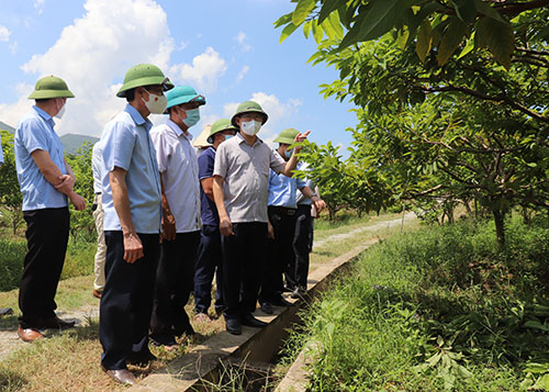 PHONG TRÀO SẢN XUẤT KINH DOANH GIỎI PHÁT HUY TIỀM NĂNG, SỨC SÁNG TẠO CỦA NÔNG DÂN