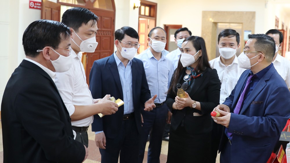 Doanh nghiệp, HTX kết nối tiêu thụ vải thiều